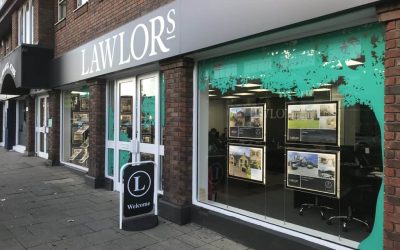 Lawlors Window Vinyl used to display a tree.